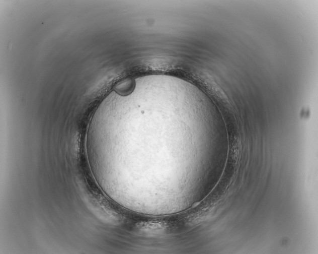 X0000094220639200711021140