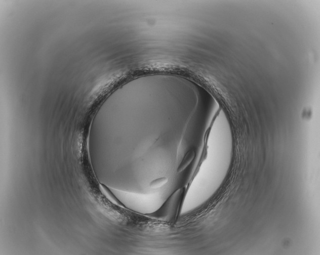 X0000094220640200711021140