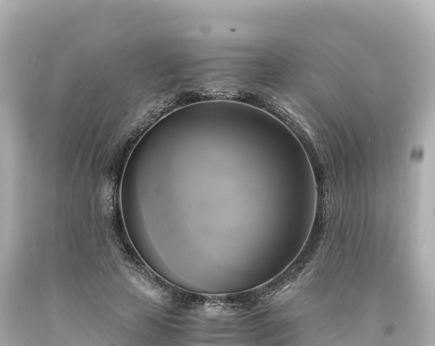 X0000094220641200711021140