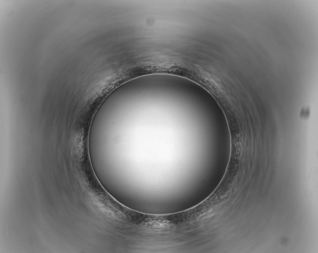 X0000094220642200711021140