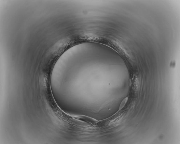 X0000094220643200711021140