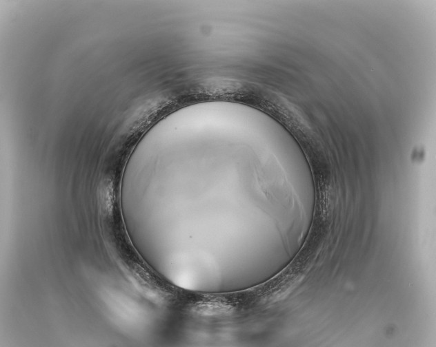 X0000094220644200711021140