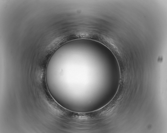 X0000094220645200711021140