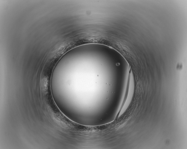 X0000094220646200711021140