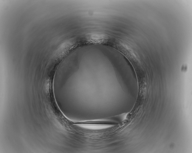 X0000094220647200711021140