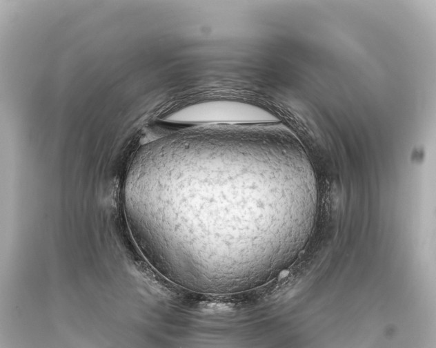 X0000094220649200711021140