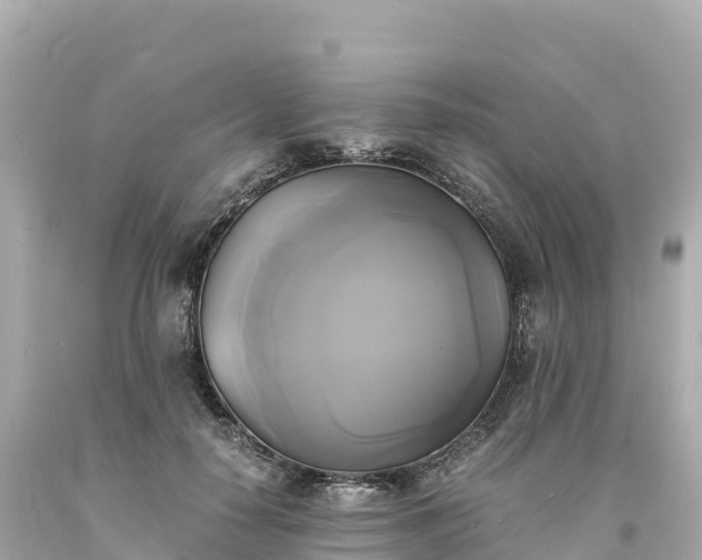 X0000094220650200711021140