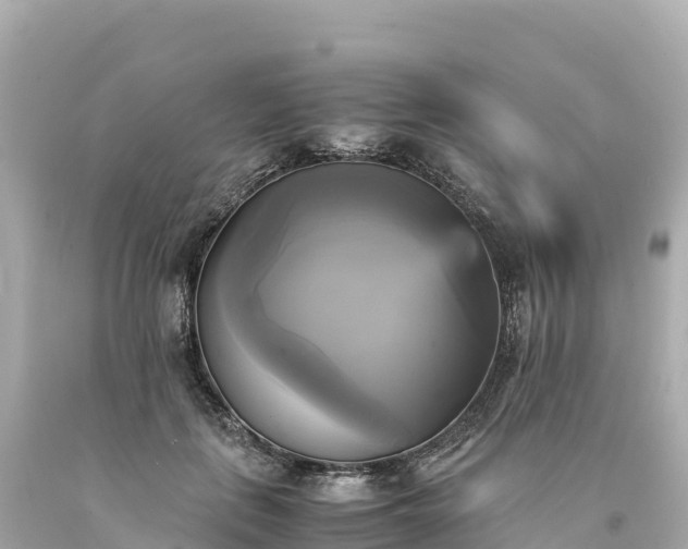 X0000094220651200711021140