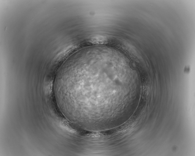 X0000094220652200711021140