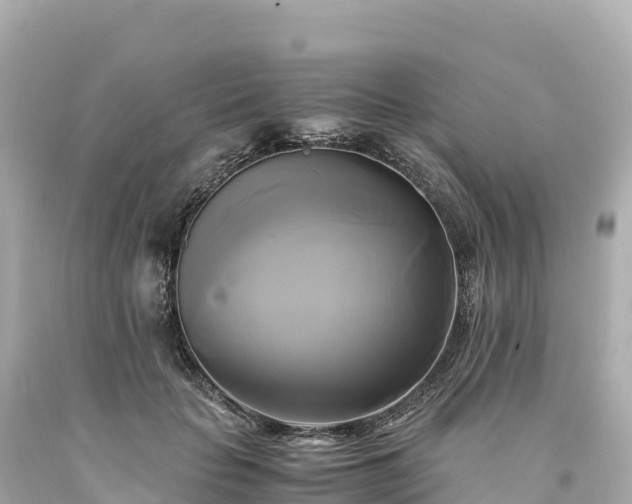 X0000094220653200711021140