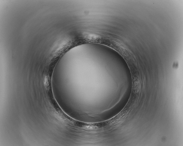 X0000094220654200711021140