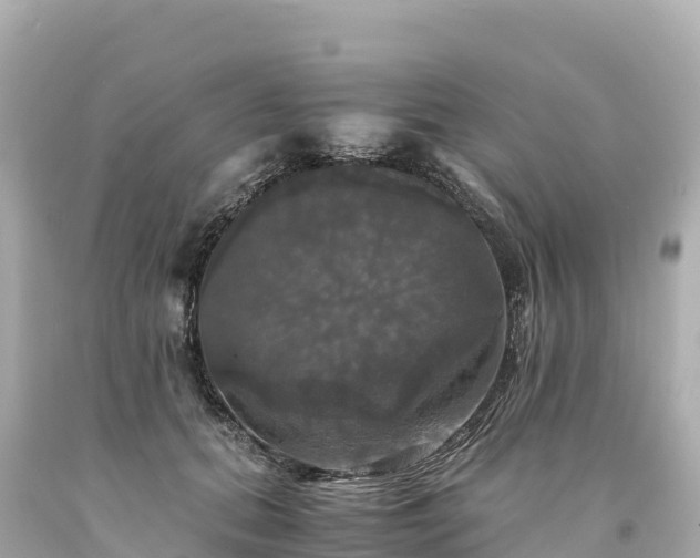 X0000094220655200711021140