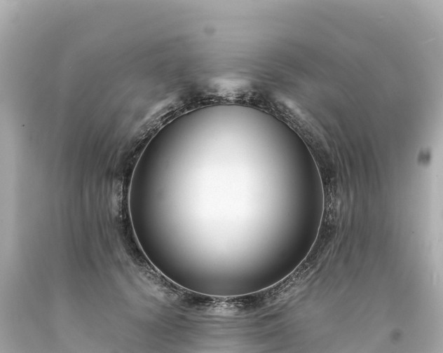 X0000094220656200711021140