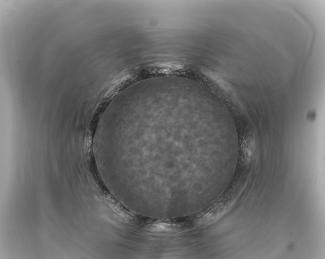 X0000094220657200711021140