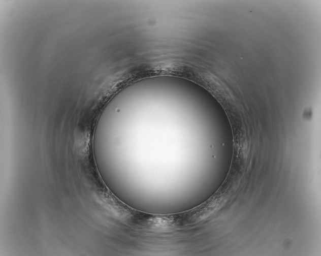 X0000094220660200711021140