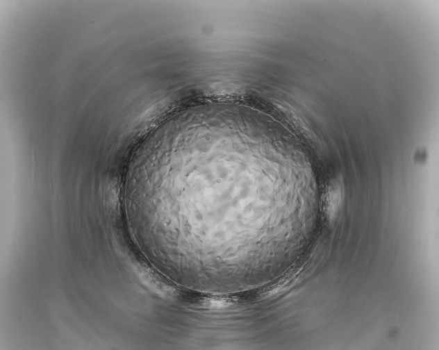 X0000094220662200711021140