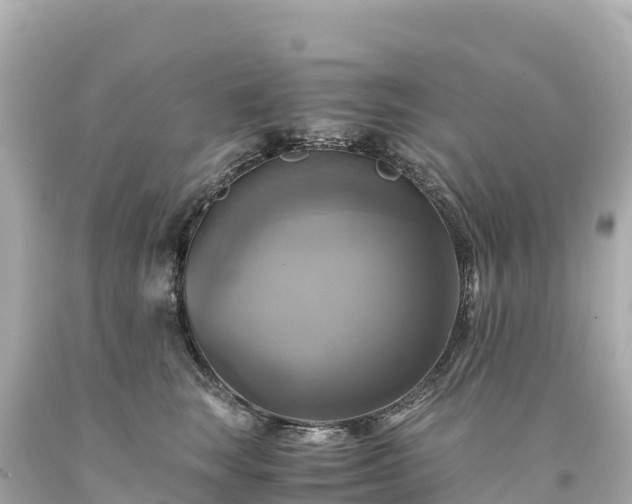 X0000094220663200711021140