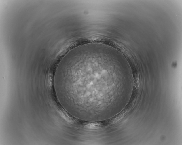 X0000094220664200711021140