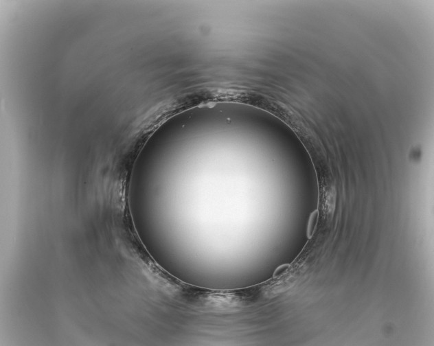 X0000094220666200711021140