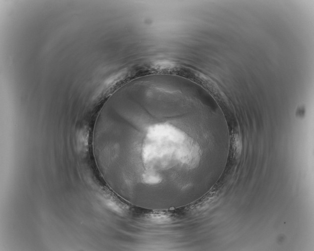 X0000094220668200711021140