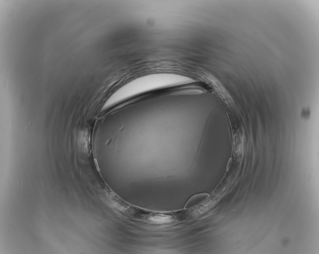 X0000094220669200711021140