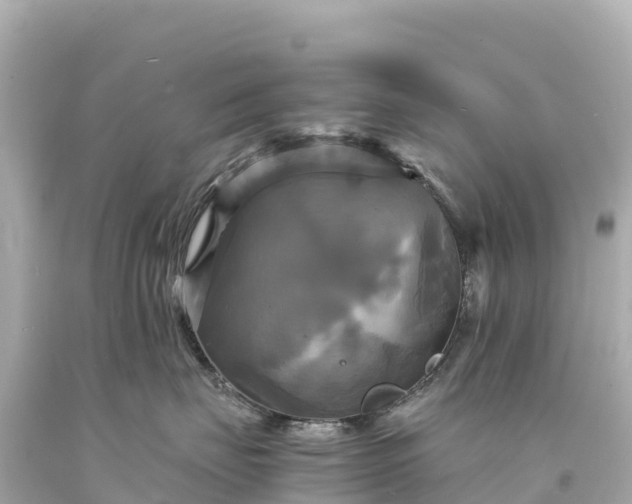 X0000094220671200711021140