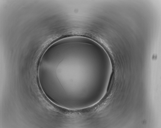 X0000094220673200711021140