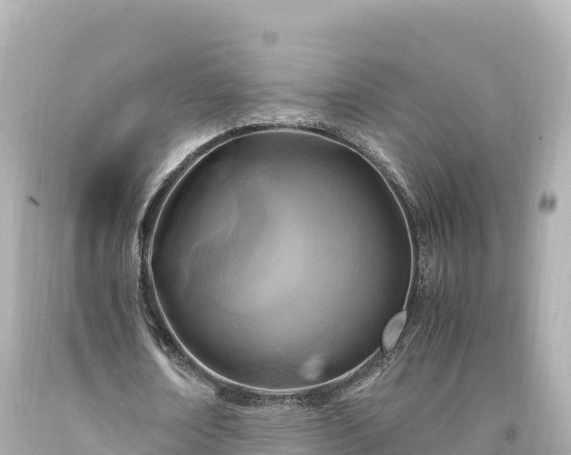 X0000094220674200711021140