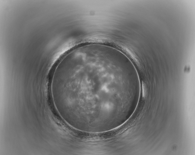 X0000094220675200711021140