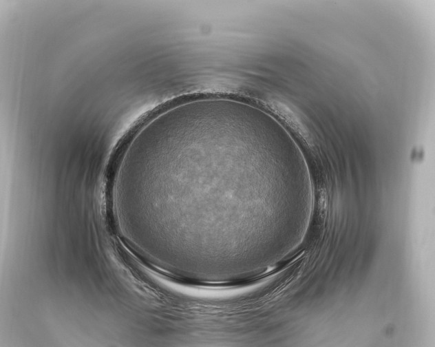 X0000094220676200711021140