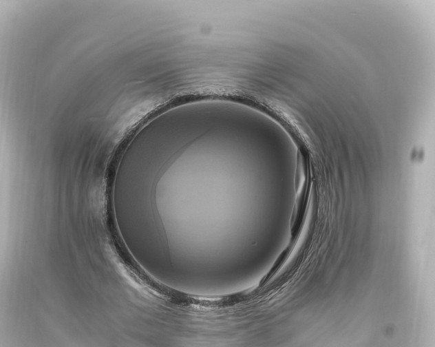 X0000094220677200711021140