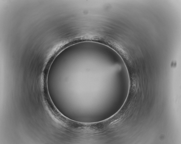 X0000094220678200711021140