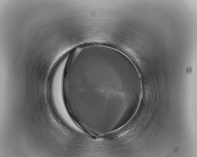 X0000094220680200711021140