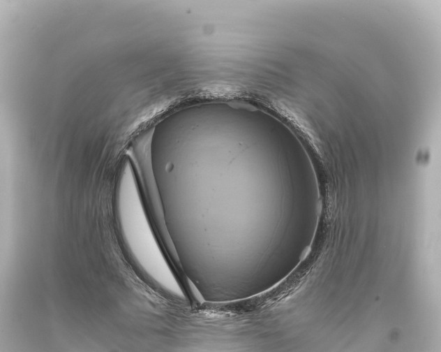 X0000094220681200711021140