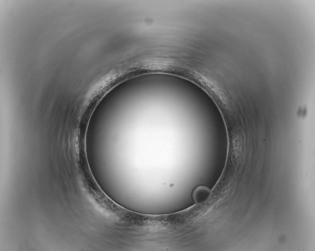 X0000094220682200711021140