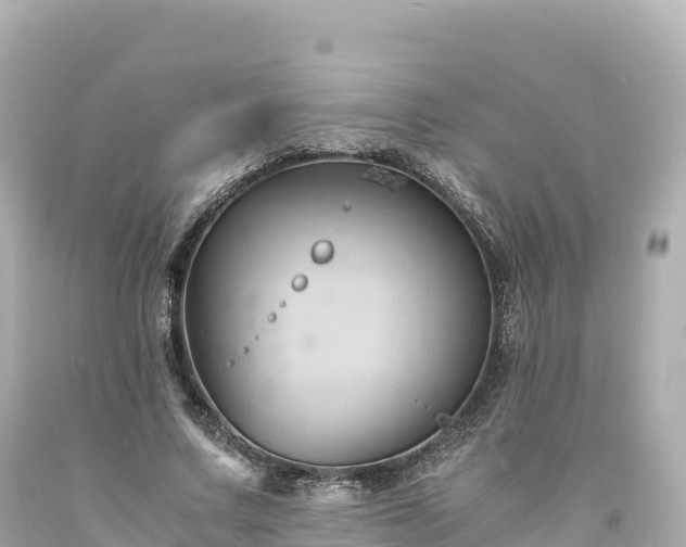 X0000094220683200711021140