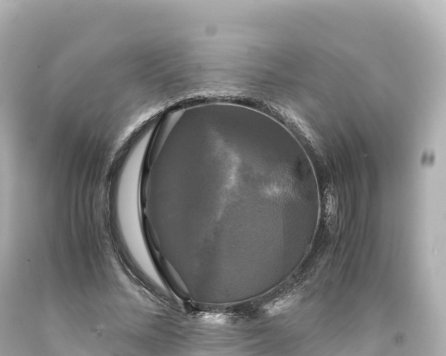 X0000094220684200711021140