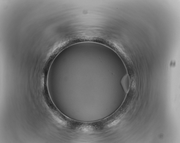 X0000094220685200711021140