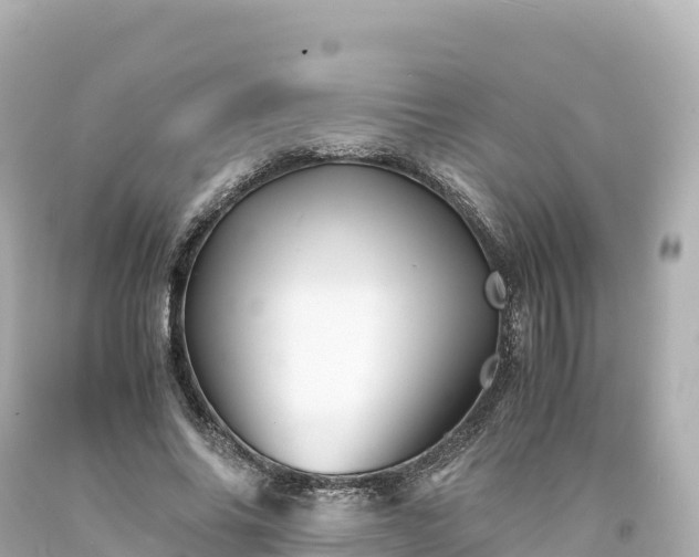 X0000094220686200711021140