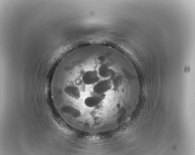 X0000094220687200711021140