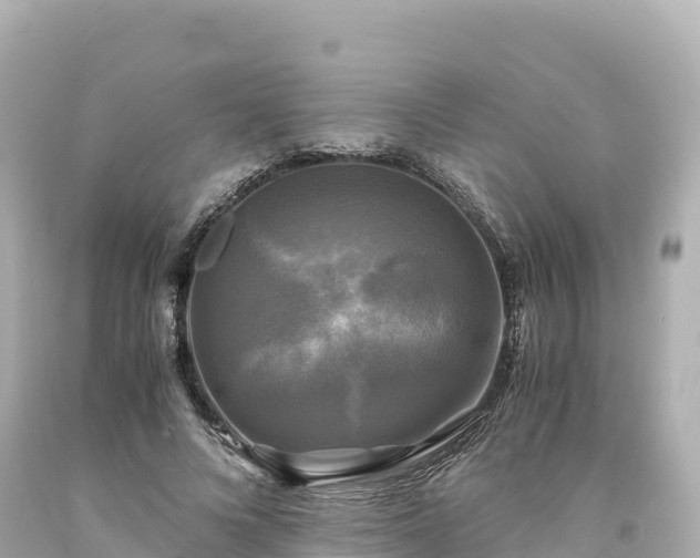 X0000094220688200711021140