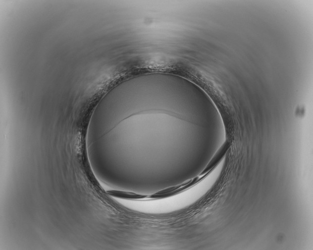 X0000094220689200711021139