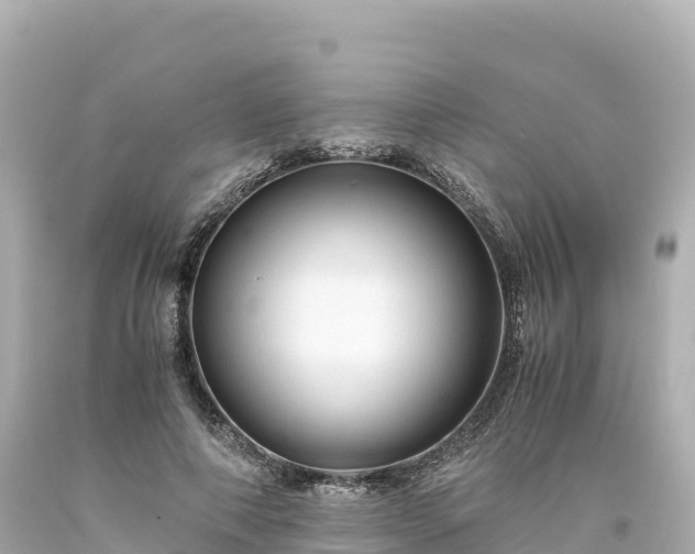 X0000094220690200711021139