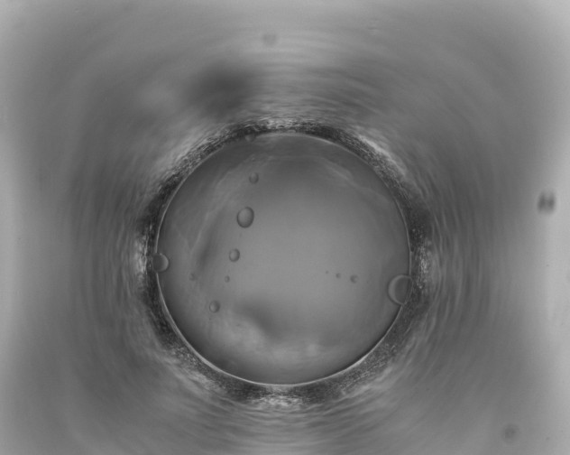 X0000094220691200711021139