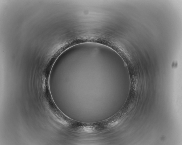 X0000094220692200711021139