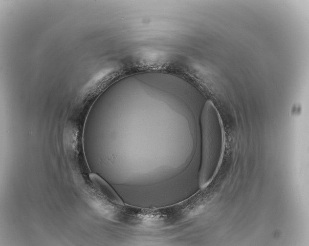 X0000094220693200711021139