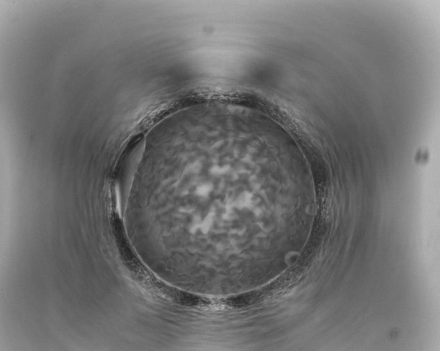 X0000094220695200711021139