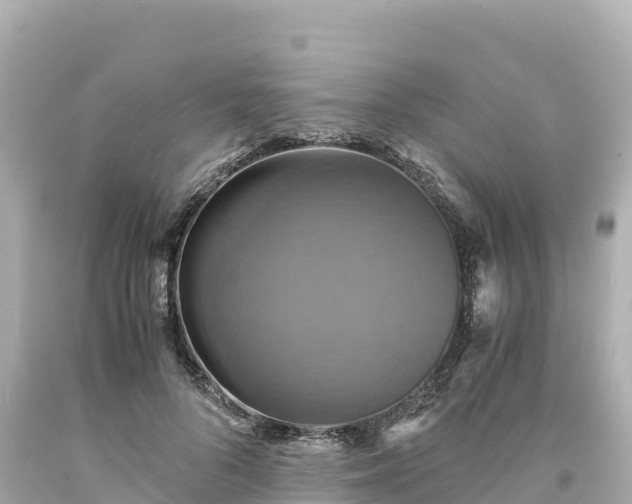 X0000094220696200711021139