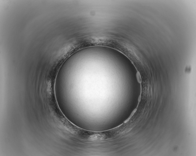 X0000094220700200711021139