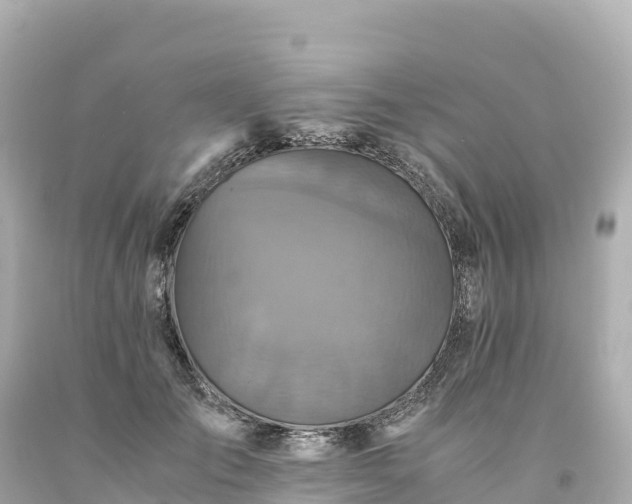 X0000094220701200711021139